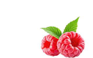 New_0000_RB_ovoce__0002_raspberry.png