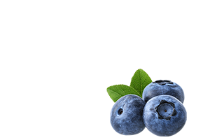 New_0002_RB_ovoce__0006_Blueberry.png